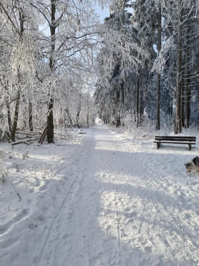 Ferienwohnung Schanzenblick Winterberg Kültér fotó